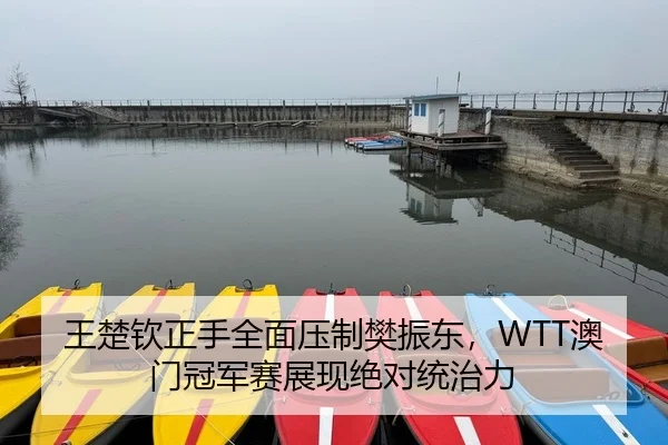 王楚钦正手全面压制樊振东，WTT澳门冠军赛展现绝对统治力